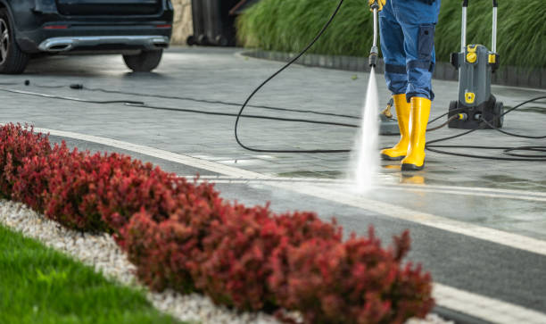 Best Deck Cleaning Services  in Montezuma, GA