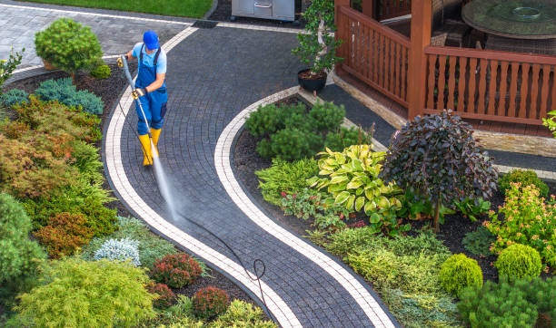 Best Power Washing Near Me  in Montezuma, GA